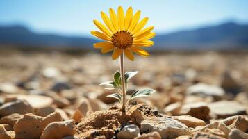uma solteiro amarelo flor é crescendo Fora do a terra generativo ai foto