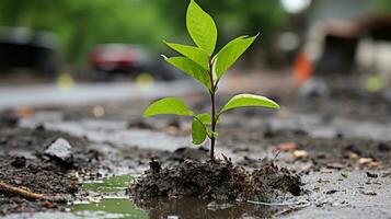 uma pequeno plantar é crescendo dentro a lama generativo ai foto