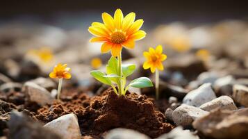 uma pequeno amarelo flor é crescendo Fora do a terra generativo ai foto