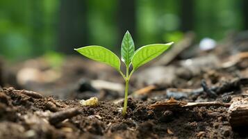 uma jovem plantar brotando a partir de a terra dentro a floresta generativo ai foto