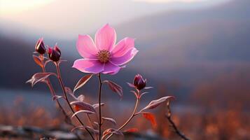Rosa flor dentro a montanhas às pôr do sol com montanhas dentro a fundo generativo ai foto
