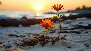 dois vermelho flores crescendo Fora do a areia em a de praia às pôr do sol generativo ai foto