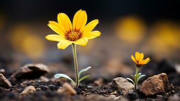 dois amarelo flores crescendo Fora do a terra generativo ai foto