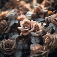 uma grupo do Castanho rosas estão mostrando dentro isto foto generativo ai