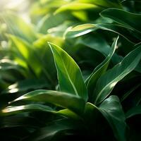 uma fechar acima do verde folhas dentro a luz solar generativo ai foto