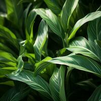 uma fechar acima do verde folhas em uma plantar generativo ai foto