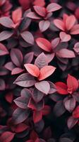 uma fechar acima do vermelho folhas em uma Sombrio fundo generativo ai foto