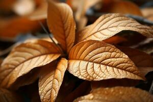 uma fechar acima do alguns Castanho folhas com água gotas em eles generativo ai foto