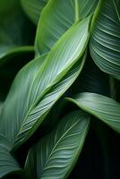 uma fechar acima Visão do verde folhas em uma plantar generativo ai foto