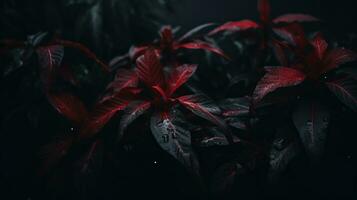 uma plantar com vermelho folhas e Sombrio fundo generativo ai foto