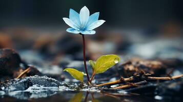 uma solteiro azul flor é crescendo Fora do a água generativo ai foto