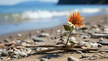 uma solteiro laranja flor crescendo Fora do uma peça do madeira flutuante em a de praia generativo ai foto