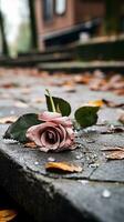 uma solteiro Rosa rosa deitado em a terra dentro frente do uma construção generativo ai foto