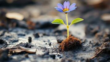 uma pequeno azul flor crescendo Fora do a terra generativo ai foto