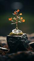uma pequeno bonsai árvore é sentado em topo do uma Rocha generativo ai foto