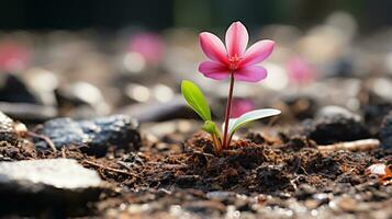 uma pequeno Rosa flor é crescendo Fora do a terra generativo ai foto