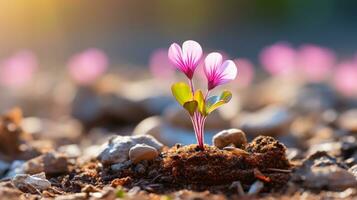 uma pequeno Rosa flor brotando a partir de a terra generativo ai foto