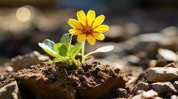 uma pequeno amarelo flor é crescendo Fora do a terra generativo ai foto