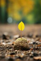 uma pequeno amarelo folha é crescendo Fora do uma Rocha dentro a meio do uma campo generativo ai foto