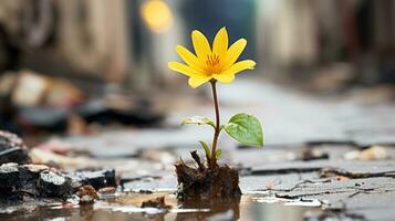 uma amarelo flor crescendo dentro uma poça do água generativo ai foto