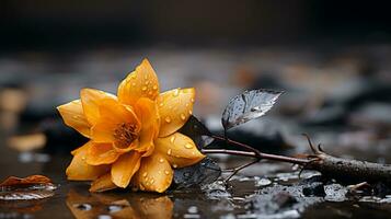 uma amarelo flor dentro a chuva generativo ai foto