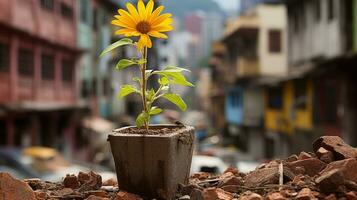 uma amarelo girassol crescendo dentro uma Panela em topo do uma pilha do destroços, Pedregulho generativo ai foto