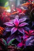 colorida plantas dentro uma jardim com luz solar brilhando em eles generativo ai foto