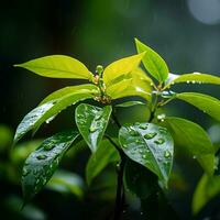 verde folhas em uma árvore dentro a chuva generativo ai foto