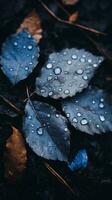 folhas com água gotas em eles deitado em a terra generativo ai foto