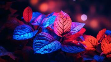 vermelho azul e roxa folhas em uma Sombrio fundo generativo ai foto