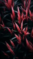 vermelho plantas com água gotas em eles generativo ai foto