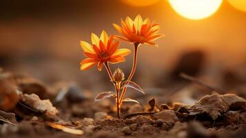 dois laranja flores crescendo Fora do a terra dentro frente do a Sol generativo ai foto