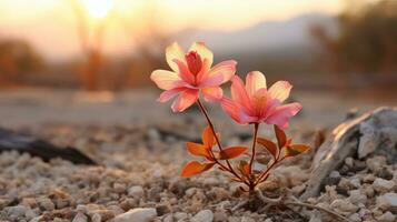 dois Rosa flores crescendo Fora do a terra dentro a deserto generativo ai foto