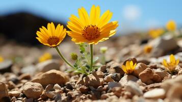 dois amarelo flores estão crescendo Fora do a terra generativo ai foto