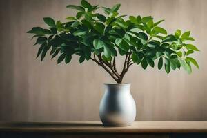 uma pequeno plantar dentro uma branco vaso em uma mesa. gerado por IA foto