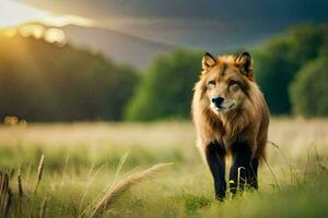 uma Lobo é caminhando dentro uma campo às pôr do sol. gerado por IA foto