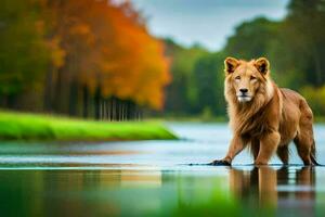 uma leão caminhando através uma rio dentro a meio do uma floresta. gerado por IA foto