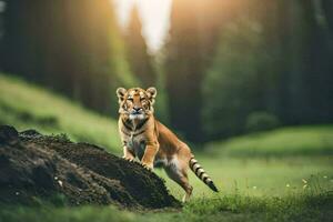 foto papel de parede tigre, a floresta, a sol, a tigre, a tigre filhote, a tigre. gerado por IA
