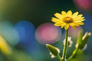 amarelo flor dentro a Sol. gerado por IA foto