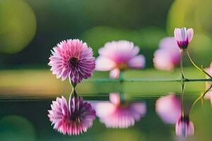 Rosa flores estão refletido dentro a água. gerado por IA foto