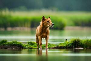 uma cachorro em pé em a Beira do uma lago. gerado por IA foto