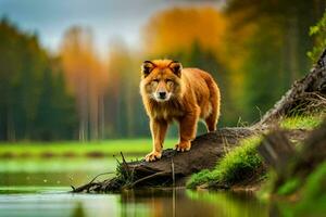 uma Lobo em pé em uma registro de uma rio. gerado por IA foto