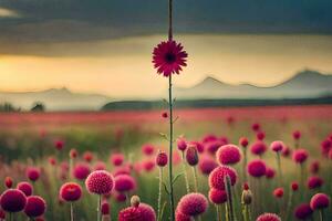 uma Rosa flor carrinhos dentro uma campo com montanhas dentro a fundo. gerado por IA foto