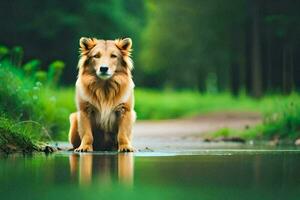 uma cachorro sentado em a Beira do uma lago. gerado por IA foto