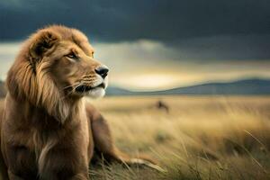 uma leão é sentado dentro a meio do uma campo. gerado por IA foto