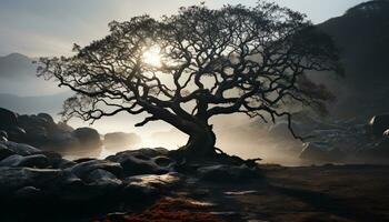 tranquilo cena árvore silhueta, pôr do sol, empoeirado paisagem, natureza beleza gerado de ai foto