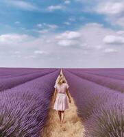 simétrico lavanda sonhos uma sereno viagem através ai's lavanda país das maravilhas foto