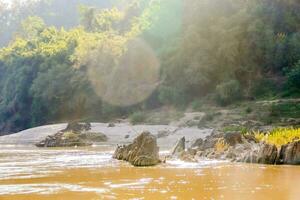 uma rio com pedras e árvores dentro a fundo foto