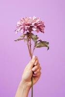 floral tendência amor natureza néon namorados margarida flor fragilidade mão cópia de simplicidade espaço foto