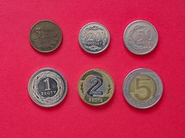 moedas de zloty polonês, polônia foto